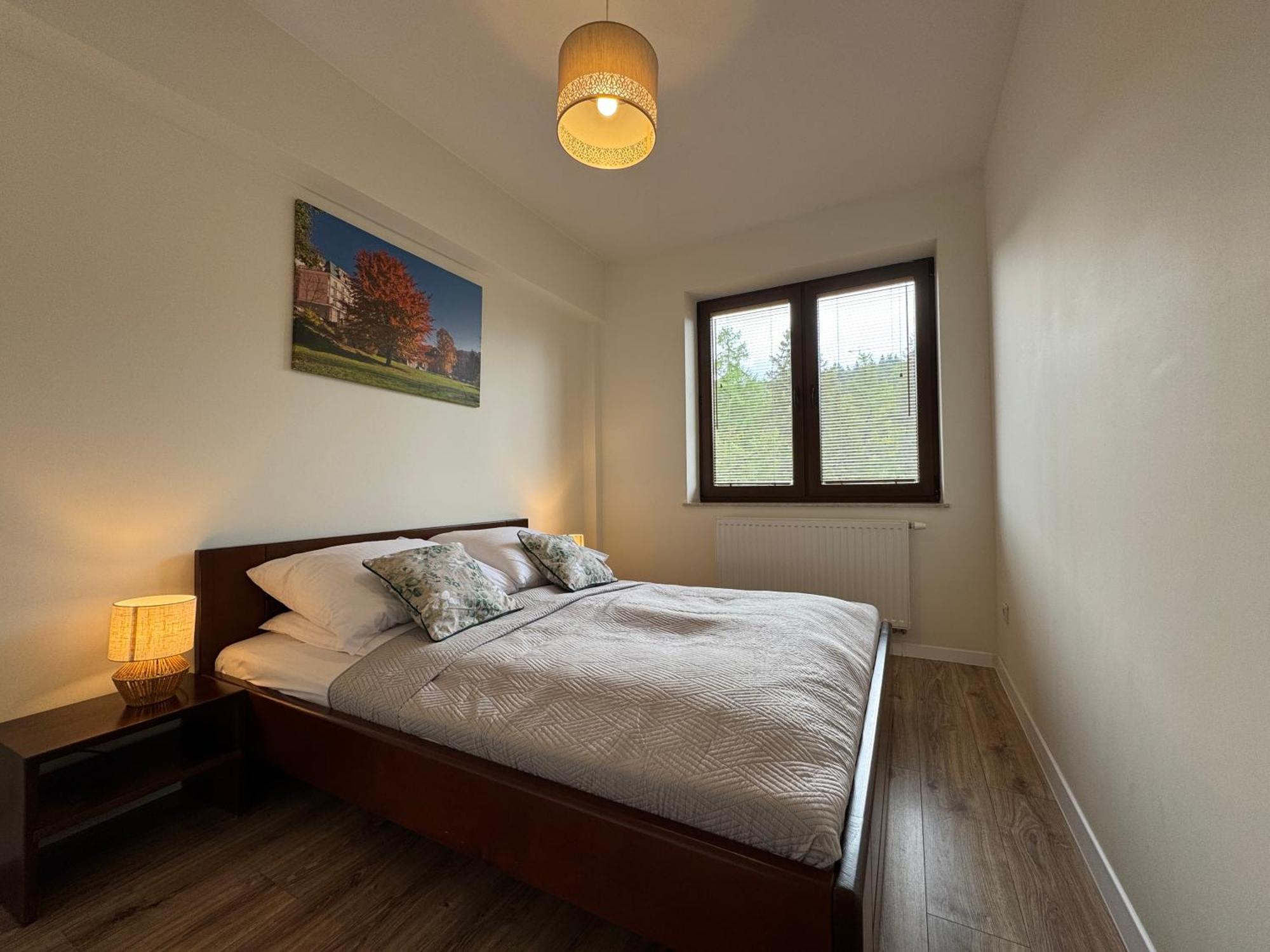 Apartamenty City Center - Zdrojowe Krynica Zdroj Kamer foto