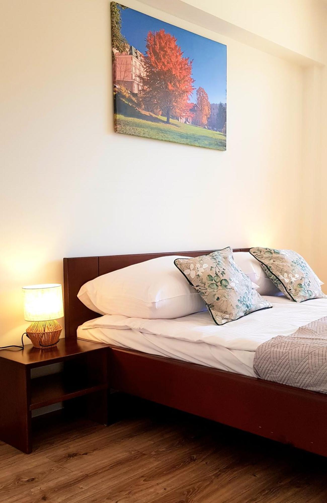 Apartamenty City Center - Zdrojowe Krynica Zdroj Buitenkant foto